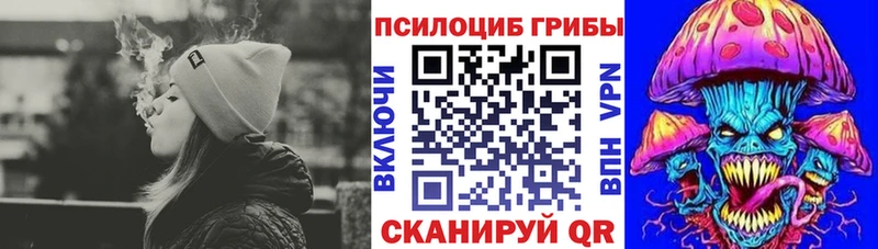 Галлюциногенные грибы Psilocybine cubensis гидра ссылки Салаир