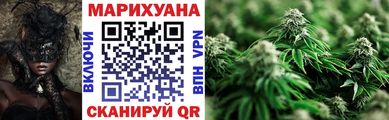 где найти   Салаир  Марихуана конопля 